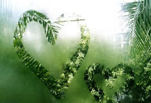 天涯神贴解压密码的秘密