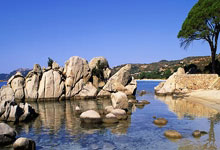 天涯神贴那些神贴